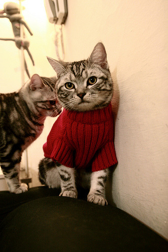 世界杯激情盛宴：精彩瞬间不断，永不落幕！，世界杯激战正酣,我们都知道